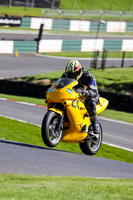cadwell-no-limits-trackday;cadwell-park;cadwell-park-photographs;cadwell-trackday-photographs;enduro-digital-images;event-digital-images;eventdigitalimages;no-limits-trackdays;peter-wileman-photography;racing-digital-images;trackday-digital-images;trackday-photos